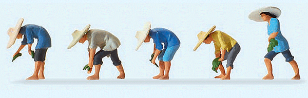 Image for 590-10572 At The Rice Field #1