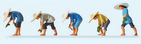 Image for 590-10572 At The Rice Field #1